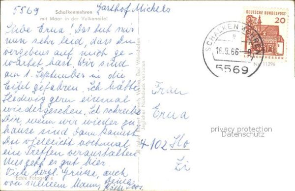 Schalkenmehren Maar Schafe – Bild 2