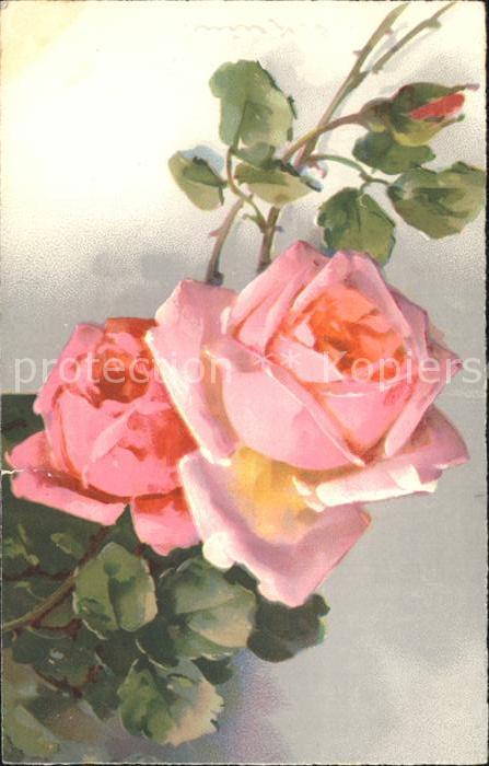 Rosen