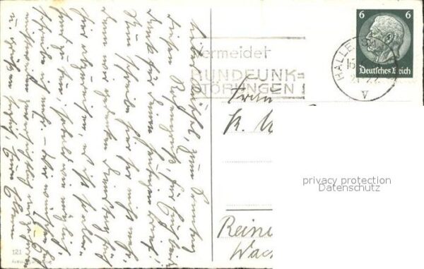 Rosen – Bild 2
