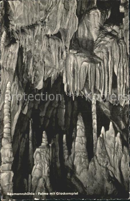 Hoehlen Caves Grottes Baumannshöhle Palme mit Glockenspiel