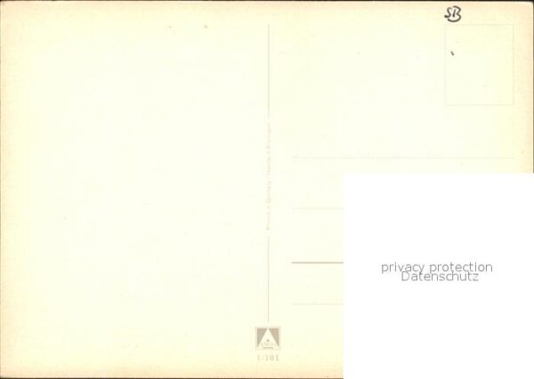 Elefant – Bild 2