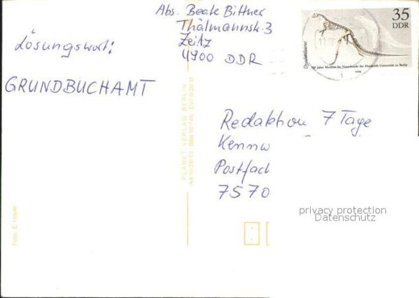 Fuchs Tiere – Bild 2
