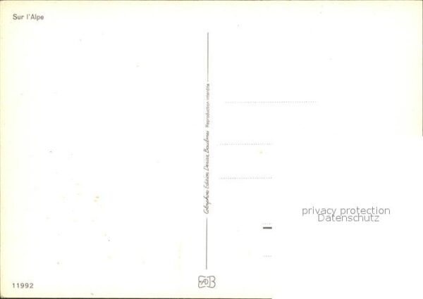 Kuehe Sennenbub Alm – Bild 2