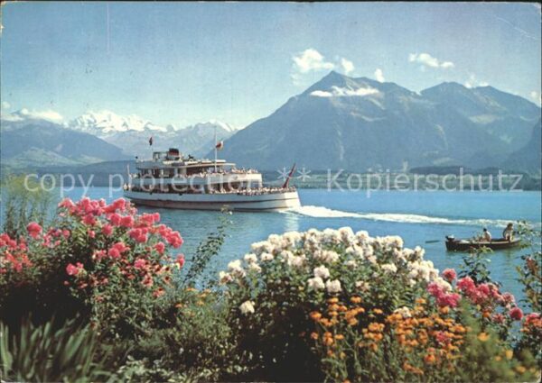 Motorschiffe Thunersee Blümlisalp Niesen
