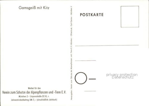 Gemse Gamsgeiss Kitz Spendenkarte – Bild 2