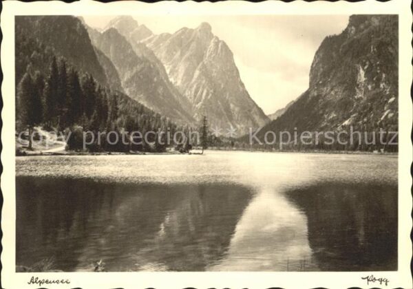 Foto Popp Nr. Alpensee