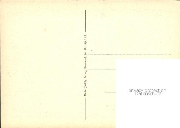 Pilze Fliegenpilze  Foto-A.-Dittmar – Bild 2