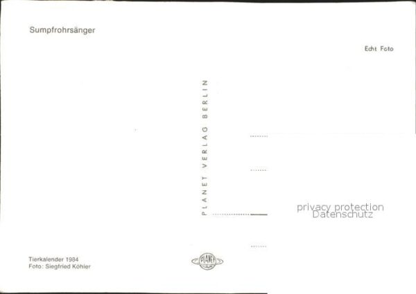 Voegel Sumpfrohrsänger – Bild 2
