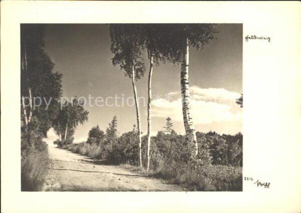 Foto Popp Nr. 2213 Feldweg