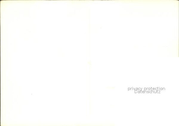 Foto Popp Nr. 3596 Kühe Bäume – Bild 2