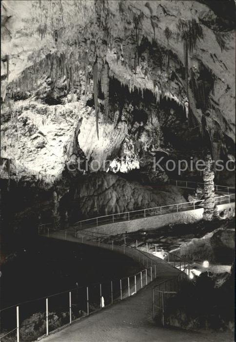 Hoehlen Caves Grottes Postojnska Jama