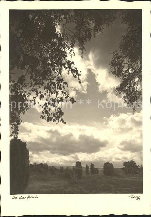 Foto Popp Nr. In der Heide