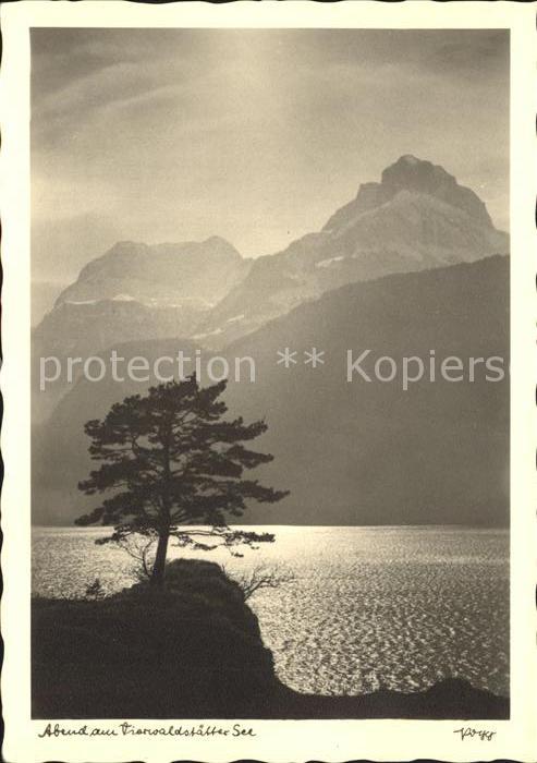 Foto Popp Nr. Abend am Vierwaldstättersee