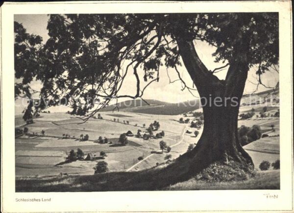 Foto Popp Nr. Schlesisches Land