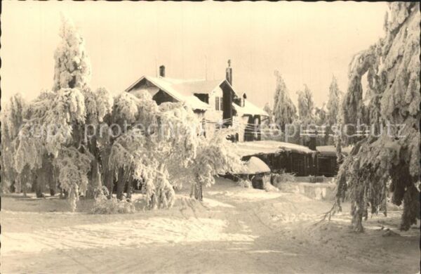 Inselsberg Schmalkalden Hotel Grenzwiese
