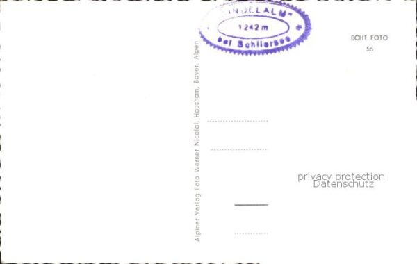 Schliersee Gindlalm Edelweiss Kühe Berghaus – Bild 2