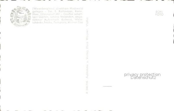 Hessisch Oldendorf Hohenstein Schneegrund Rohdental – Bild 2