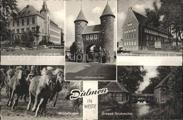 Duelmen Gymnasium Ludwigshauser Tor Rathaus Wil