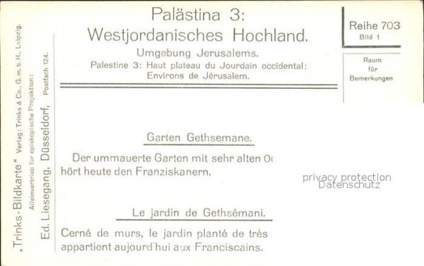 Palaestina Garten Gethsemane – Bild 2