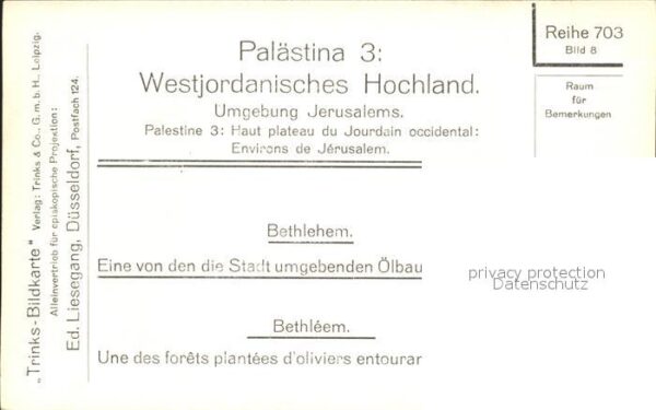 Bethlehem Yerushalayim Oelbaumwaldung – Bild 2