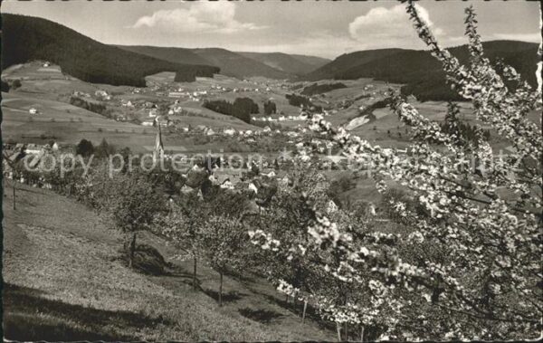 Baiersbronn Schwarzwald Panorama