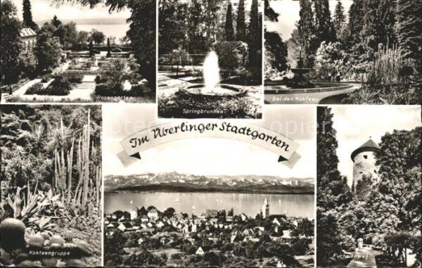 Ueberlingen Bodensee Rosengarten Springbrunnen Kakteengruppe