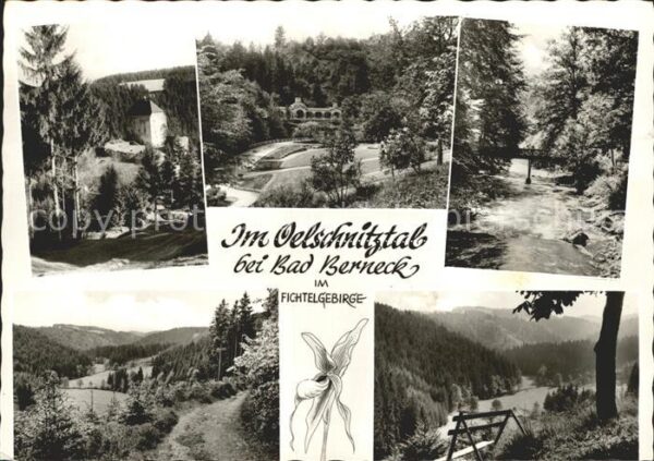 Bad Berneck Teilansichten Kurpark Brücke