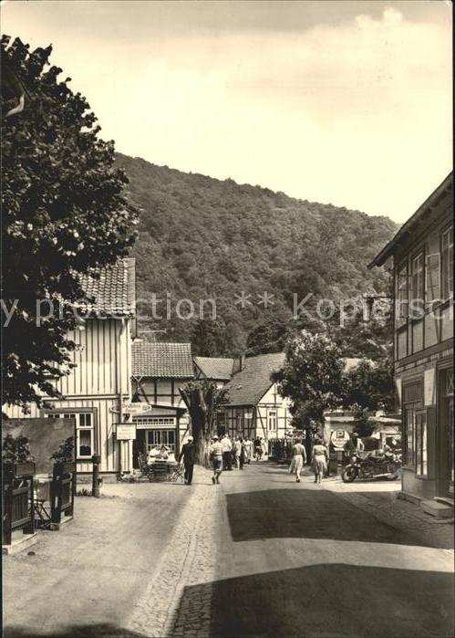 Treseburg Harz Strassenpartie