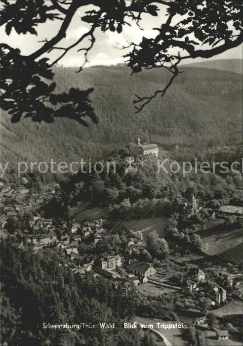Schwarzburg Thueringer Wald Blick vom Trippstein