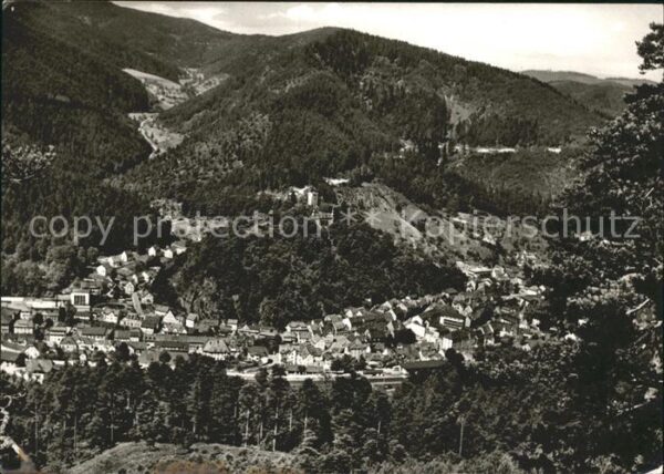 Hornberg Schwarzwald Blick vom Windeckfelsen