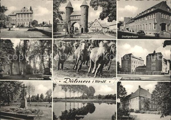 Duelmen Gymnasium Lüdinghauser Tor Stadtsparkas