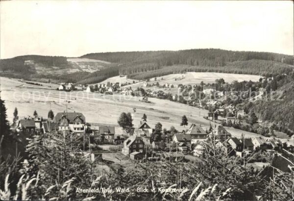Altenfeld Thueringen Blick vom Königswald