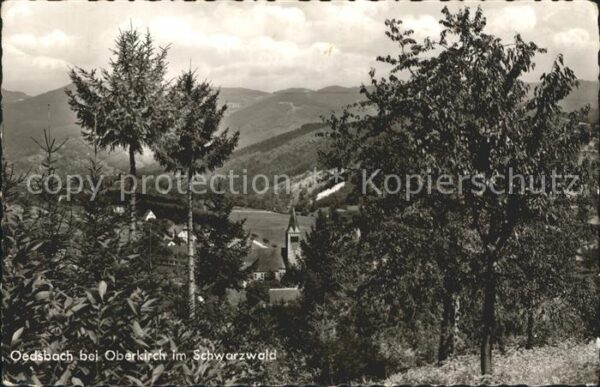 Oedsbach Oberkirch Baden Teilansicht