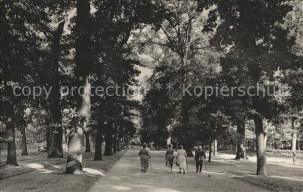 Arolsen Bad Grosse Allee