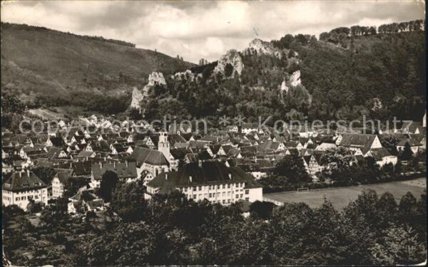 Blaubeuren Totalansicht mit Ruine