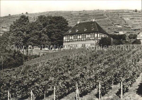 Radebeul Schloss Hoflössnitz