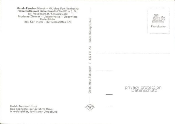 Luetzenhardt Hotel Pension Hirsch Gaststube – Bild 2