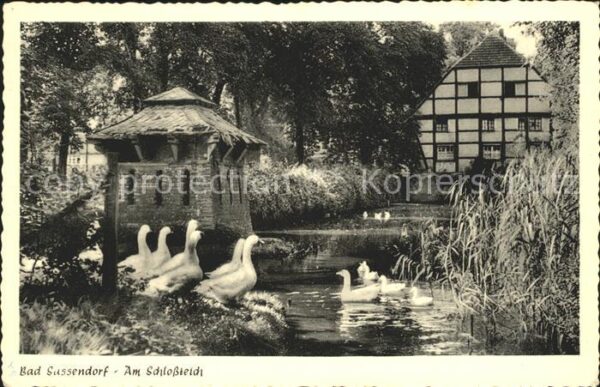 Bad Sassendorf Schlossteich Gänse