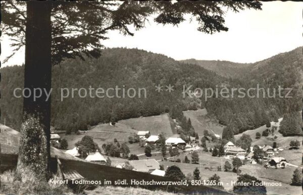Todtmoos Blick auf Hinter Todtmoos Schwarzwald