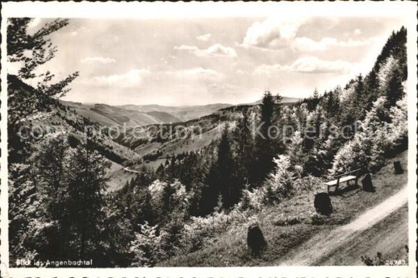 Haeg-Ehrsberg Panorama Angenbachtal Schwarzwald