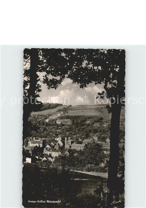 Muenstereifel Bad Ansicht vom Waldrand aus
