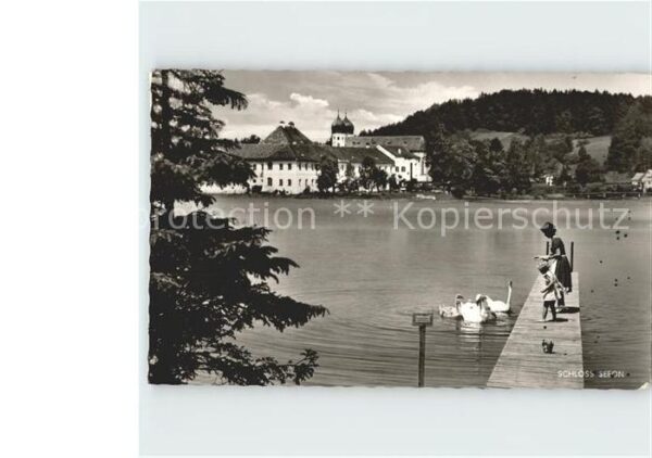 Seeon-Seebruck Schloss Steg Chiemsee Schwäne