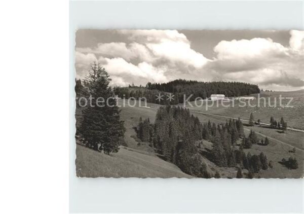 Utzenfeld Schwarzwald Berggasthof Pension Gisiboden Feldbergg
