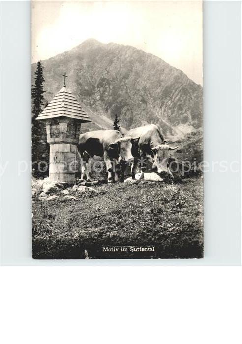 Sutten Motiv im Suttental Alm Kühe