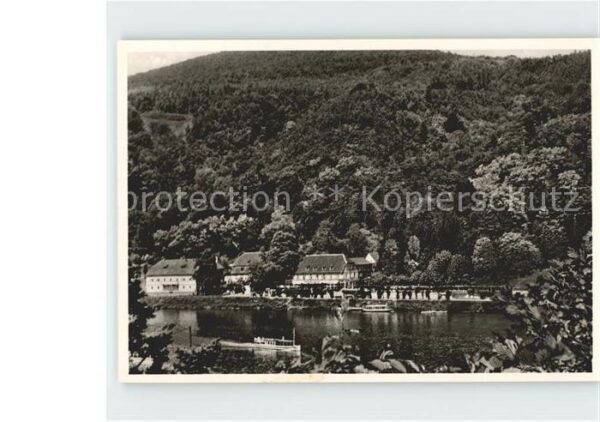 Heidelberg Neckar Parkcafe Hotel Haarlass Aussichtspunkt