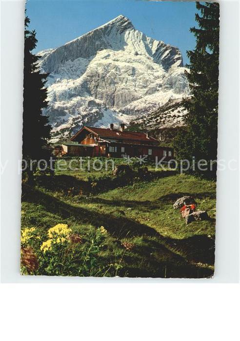 Garmisch-Partenkirchen Kreuzalm gegen Alpspitze Alpfenflora