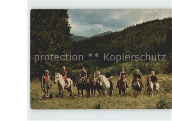 Rinsecke Ponyreiten im Hirschfreigehege Rothaarg
