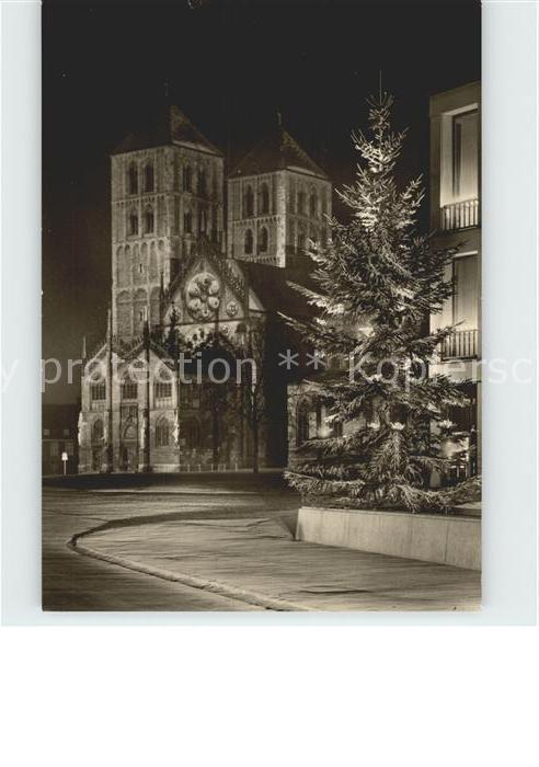 Muenster Westfalen Dom in Festbeleuchtung Christbaum Weihn
