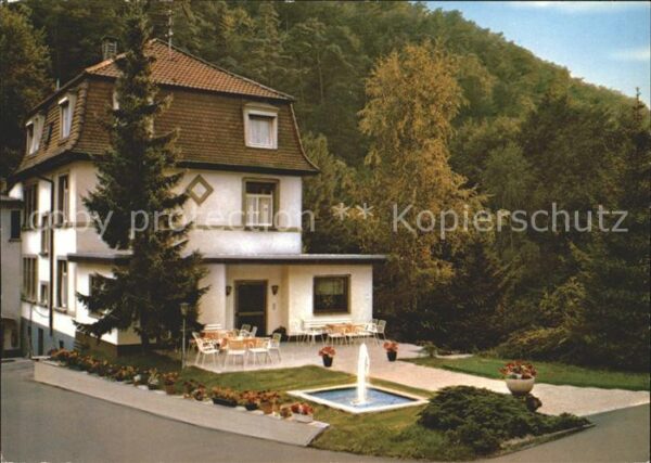 Schriesheim Talgasthof Scheid Terrasse Springbrunne