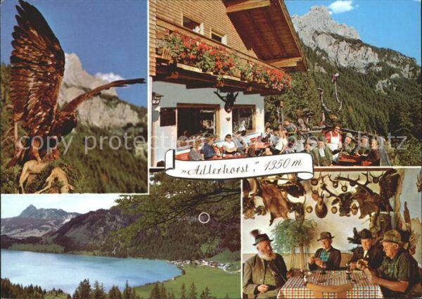Nesselwaengle Tirol Alpengasthof Adlerhorst Terrasse Gastst